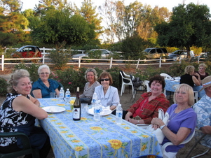 Ann Coakes & Friends