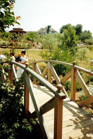 Bridge