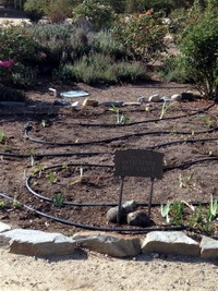 New drip irrigation system, 2017