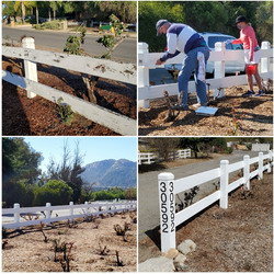 Painting the Fence