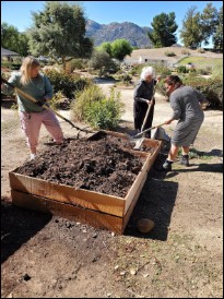 Compost pit