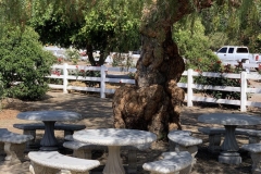 Pepper Tree Picnic Area