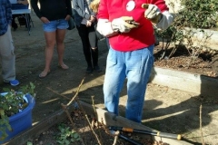 Pruning Workshop