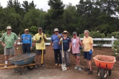 Pruning Workshop