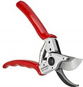Corona Bypass Shears