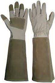 Gloves With Arm Protectors