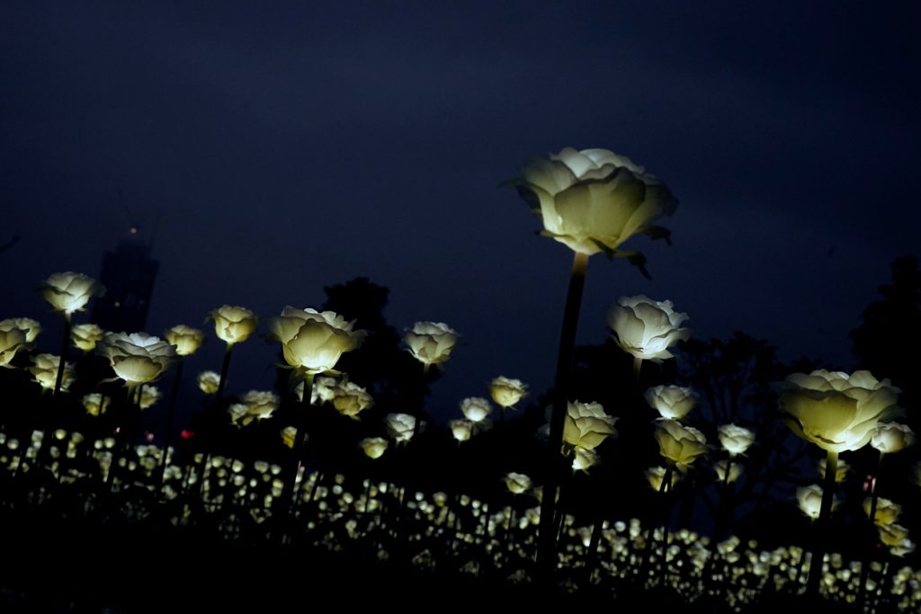 Hong Kong LIght Garden