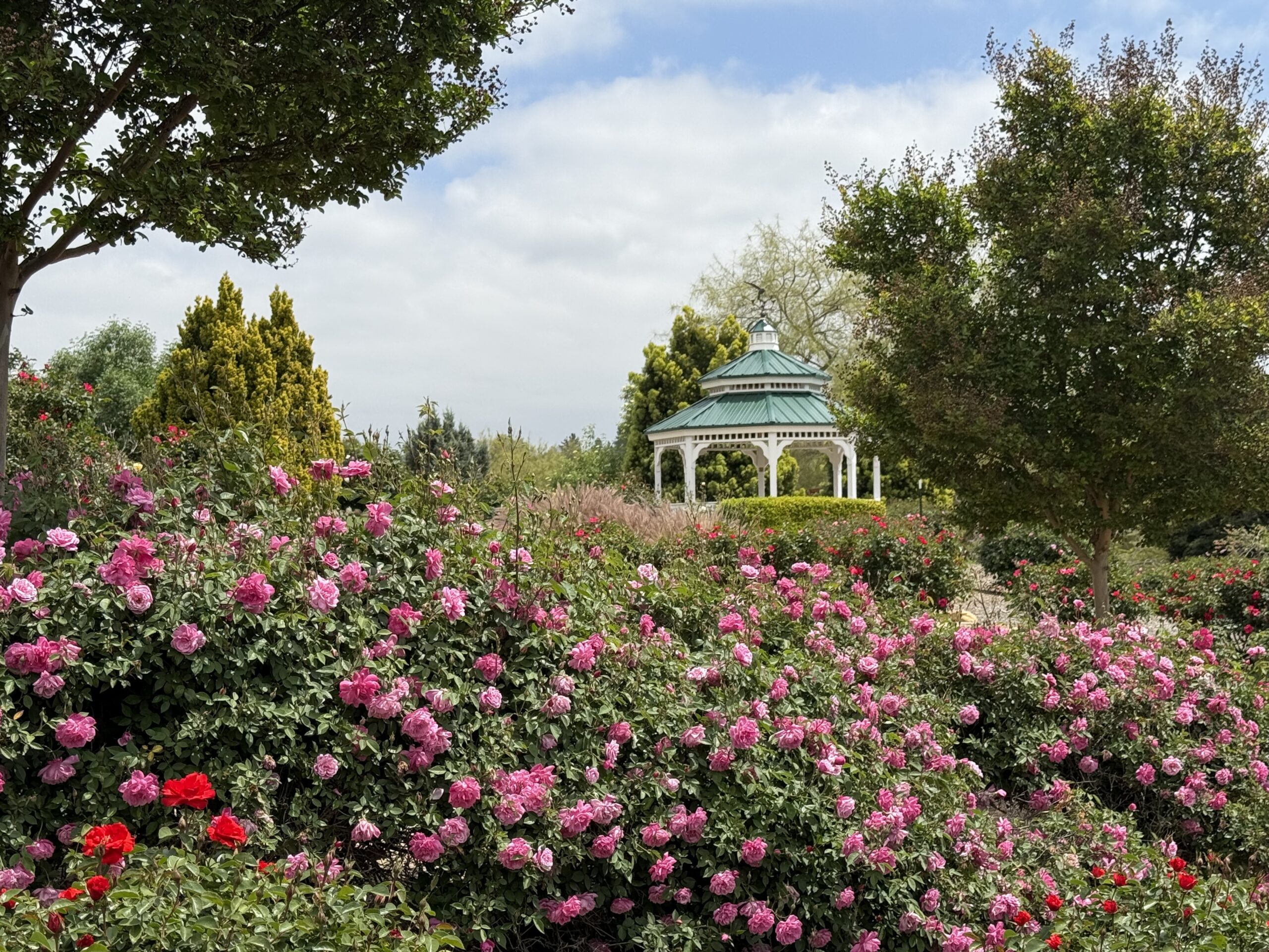 Rose Haven Heritage Garden