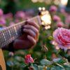 Arts in the Garden